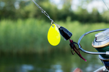 Similar image 11753945