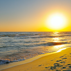 Similar image 11754937