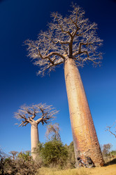 Similar image 11768792