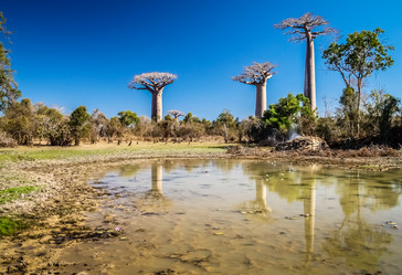 Similar image 11768793