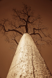 Similar image 11768811