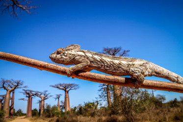 Similar image 11768815