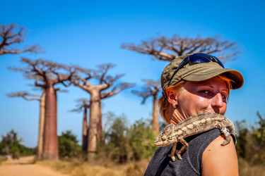 Similar image 11768819