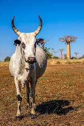 Similar image 11768824