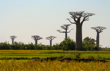 Similar image 11768829