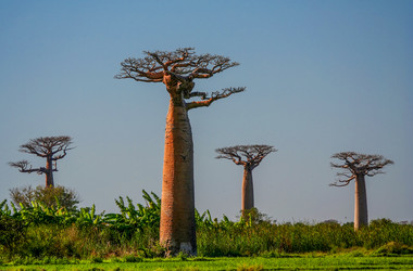 Similar image 11768831