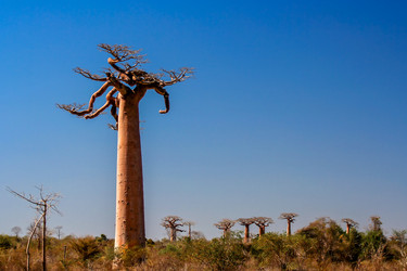 Similar image 11768833