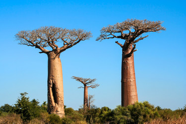 Similar image 11768834