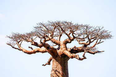 Similar image 11768835