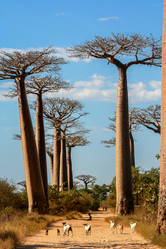 Similar image 11768837