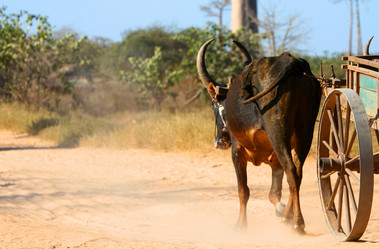 Similar image 11768838