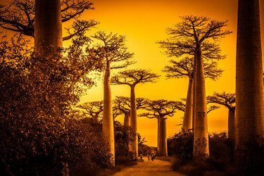 Similar image 11768840