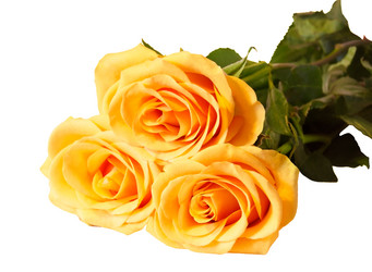 Similar image 11753869