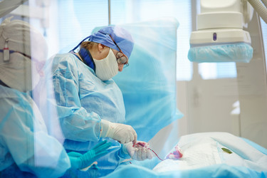 Similar image 11773456