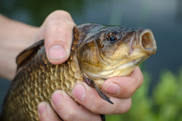 Similar image 11753886