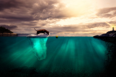 Similar image 11754036