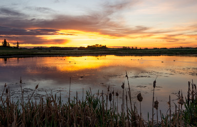 Similar image 11754057