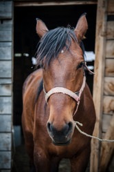 Similar image 11753845