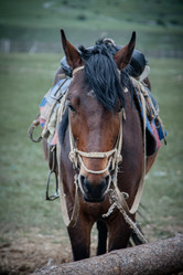 Similar image 11753846