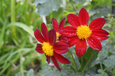 Similar image 11753851