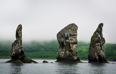 Similar image 11754089