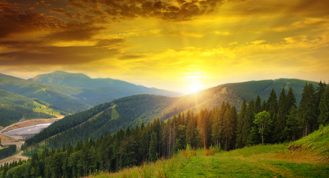 Similar image 11754944