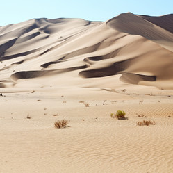 Similar image 11754176