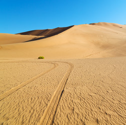 Similar image 11754177