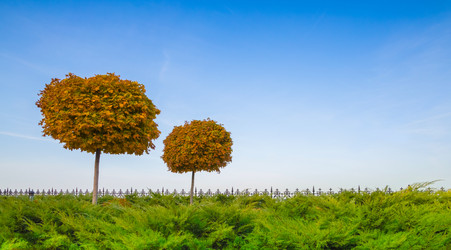 Similar image 11768335