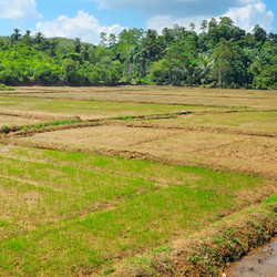 Similar image 11755436