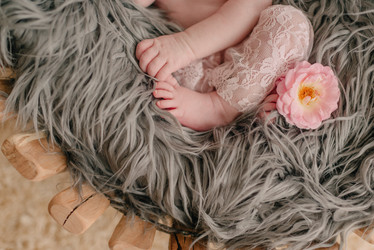 Similar image 11753808