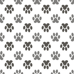 Similar image 11756172