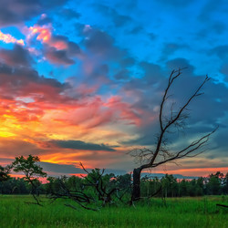 Similar image 11754018