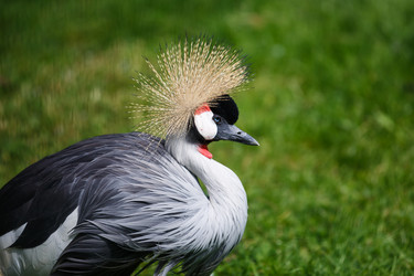 Similar image 11769366