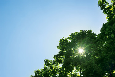 Similar image 11753793