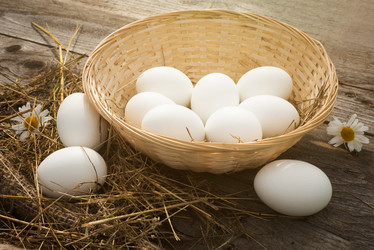 Similar image 11767581