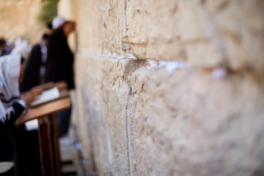 Similar image 11767632