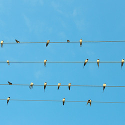 Similar image 11769040