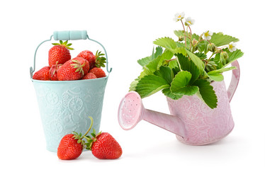 Similar image 11769045