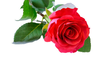 Similar image 11755439