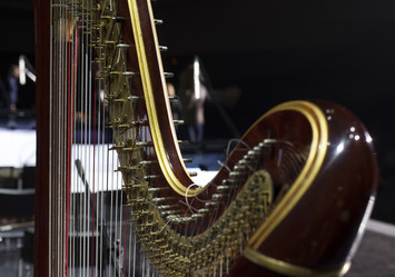 Similar image 11768749