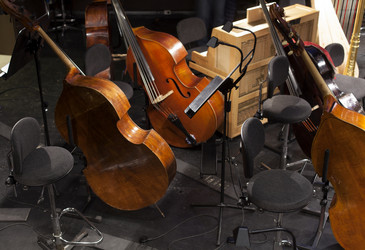 Similar image 11768759