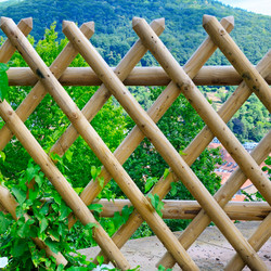 Similar image 11769051