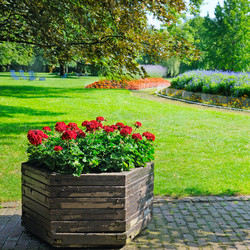 Similar image 11769054