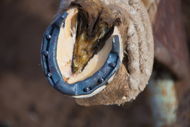 Similar image 11768455