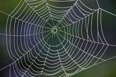 Similar image 11768460