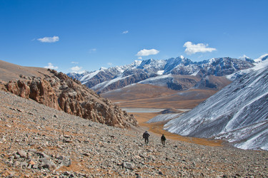 Similar image 11768471