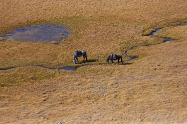 Similar image 11768472