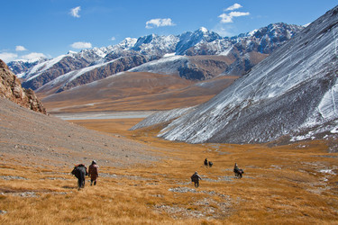 Similar image 11768473