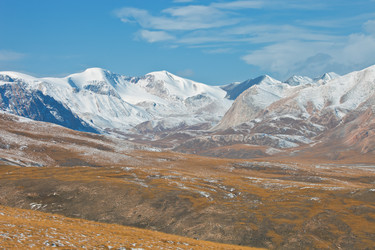 Similar image 11768477